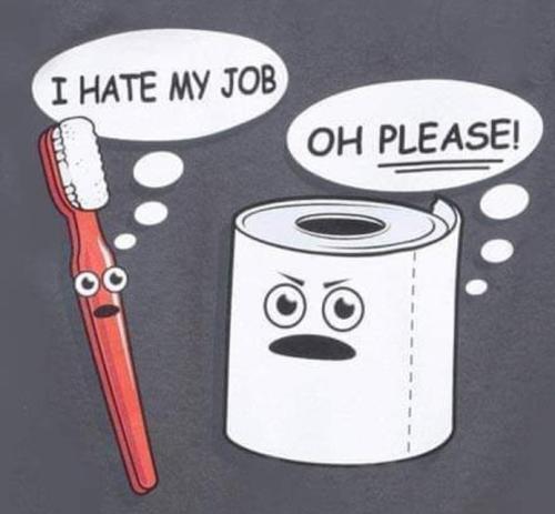 Screenshot_20250204_061357_Gallery