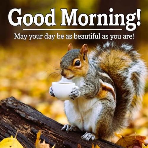 481176617_484768081373072_3844336528265196883_n