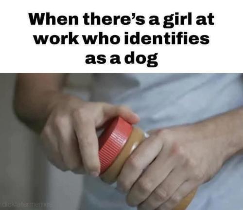 image_0E7D4262-5D03-4FD3-8B7D-D7F69C111C8B