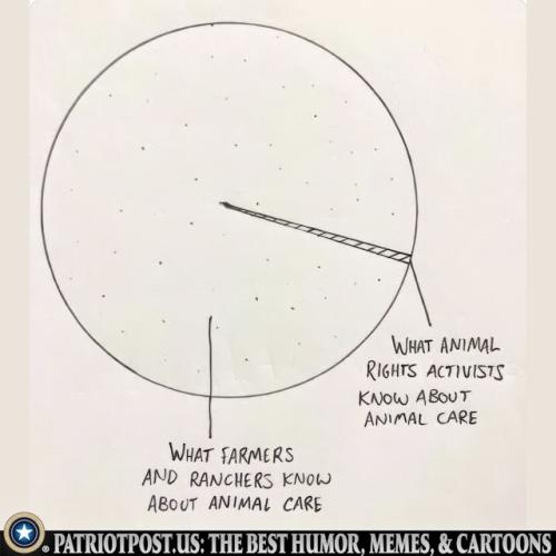 01JMNXQAFBJWME92GXDC1WXDEA