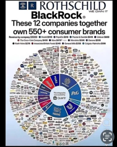 image_2025-02-26_061530121