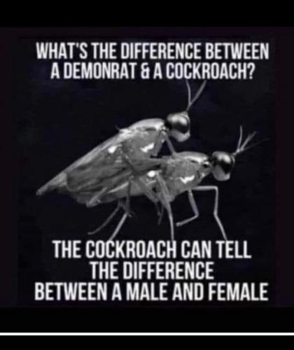 FB_IMG_1740538514084