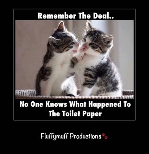 7aa5f8c57a667260f54a389be436e452