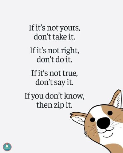 FB_IMG_1739392676592