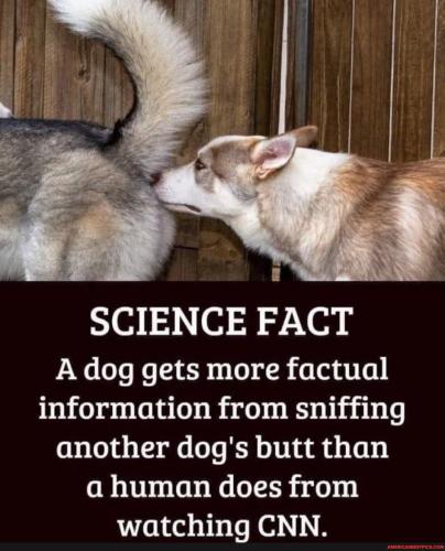 2a78afed0bb0ab0535ef88322adbe18b8c965ba1c634e8aaa7c8d84091d5175a_1