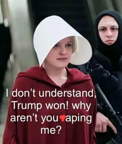 image_86BF0A79-32E0-4F71-9A85-3380F370EF87