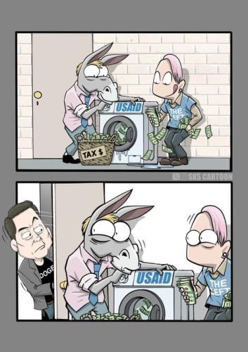 IMG_20250206_105355_354