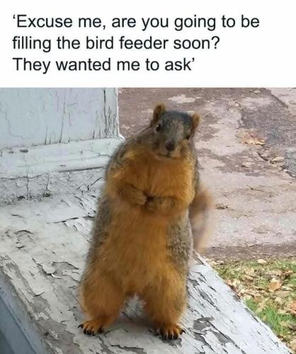 FB_IMG_1738943118062