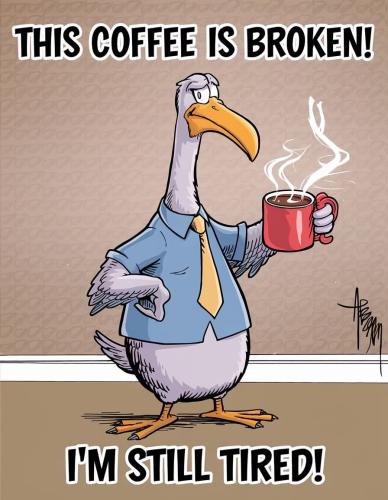 FB_IMG_1739214165432