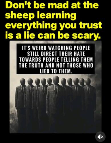 Screenshot_20250205_232854_TikTok