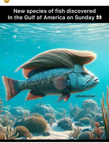 846e2599a62dfce1b88542a4fdd81a47_1024