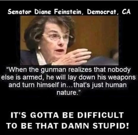 75bd83d8ebdd463d50f67e03b9c1e319084128532e343f8c0b99047124b98588_1-00.00.00.000