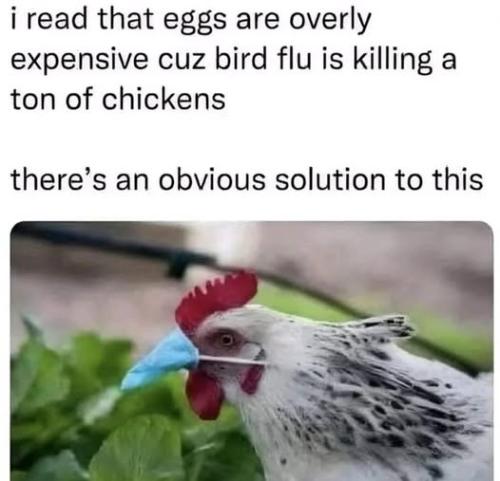 480908315_1450414859555491_5906229553494992620_n