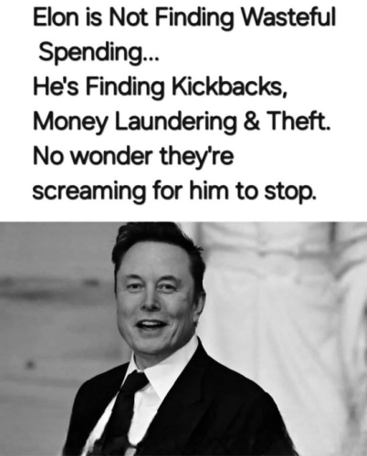 image_2025-02-17_172932800