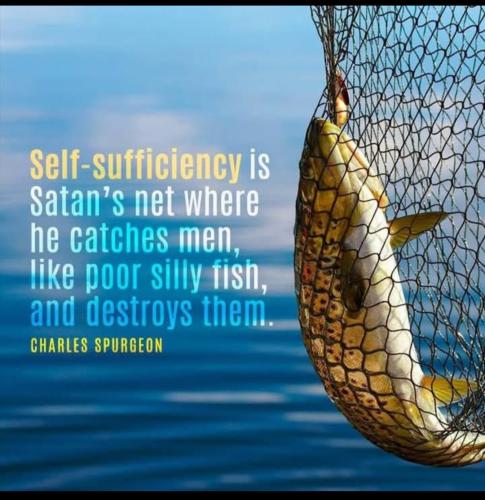 Screenshot_20250221_110651_X