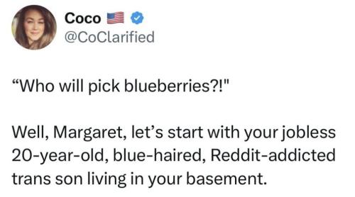 photo_2025-02-01_19-31-13