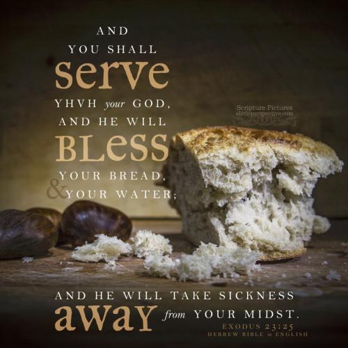 exo-23-25-HBE-pixabay