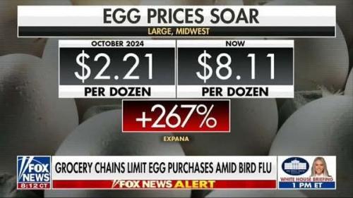 FB_IMG_1739735049871