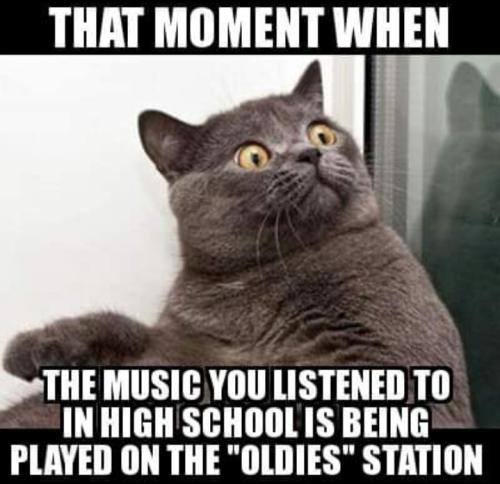 Screenshot_20250218_065141_Gallery