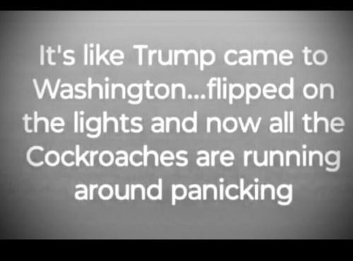 Screenshot_20250216_192809_X