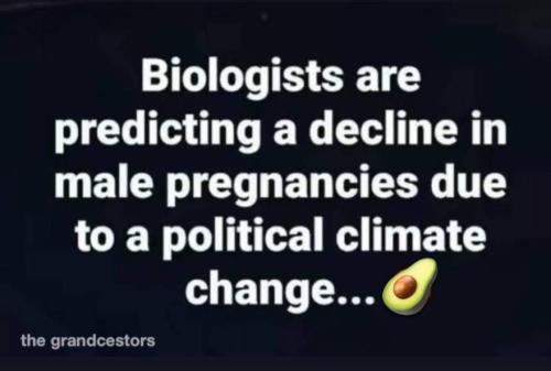 photo_2025-02-01_21-53-51