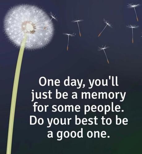 005b544f-d34a-4c82-a6f1-76b27d8e54d1