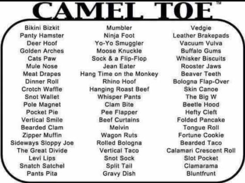 image_CBECD2C6-F930-4A45-9F42-7391177C0E37