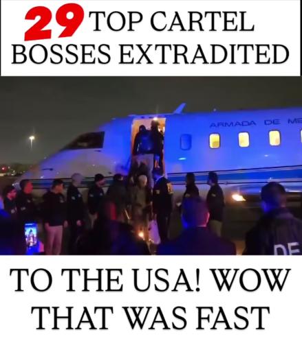 Screenshot_20250228_094202_Instagram