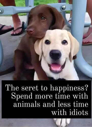 FB_IMG_1738709978291