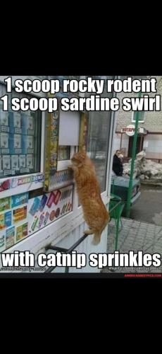 Screenshot_20250204_124945_Gallery