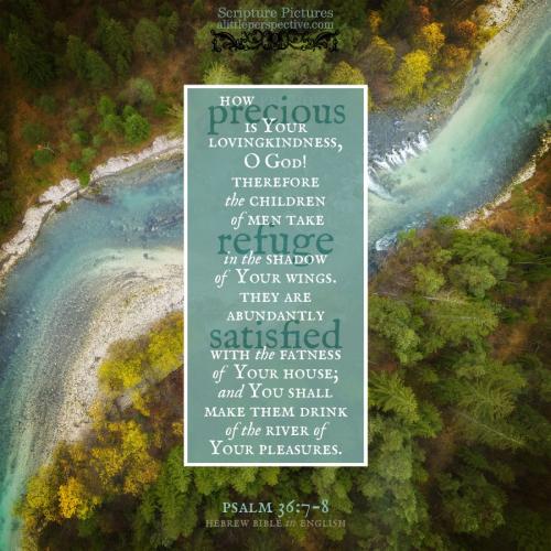 psa-36-7-HBE-unsplash