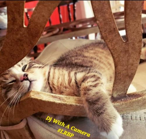 Screenshot_20250216_063121_Gallery