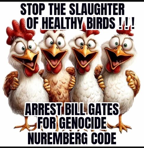 ZomboMeme 27022025100452