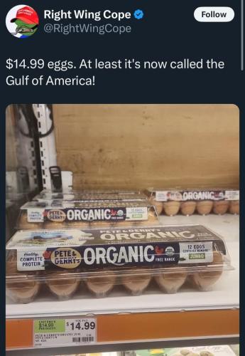 FB_IMG_1740240934789