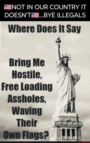 3f46b04bf2e5adfe6011b75872ab14f3d34e5e1ceb438d8d267c31c5538c96bb_1