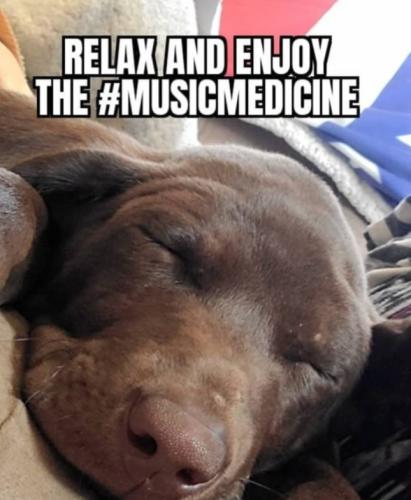 Screenshot_20250118_220028_Brave