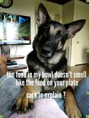 FB_IMG_1738858470522