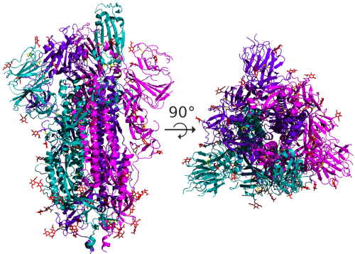 spike_protein_SARS-CoV-2_homotrimer-e1606156849684-1536x1101