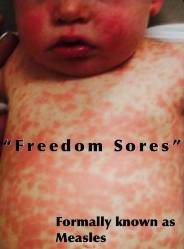 FB_IMG_1740238126570