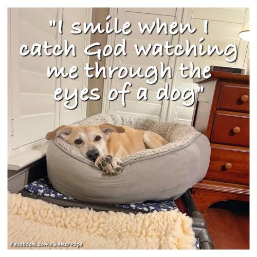 FB_IMG_1739792273173