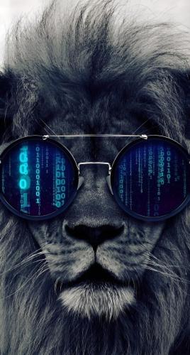 20250208_165020
