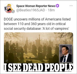 government efficiency27