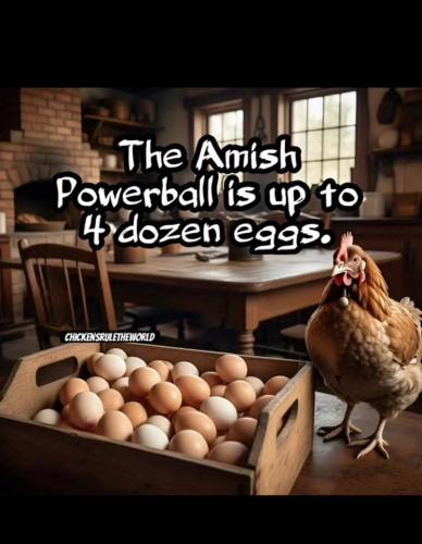 FB_IMG_1739042625717