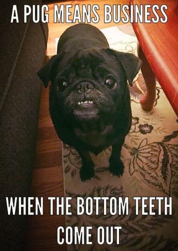 FB_IMG_1738709175126