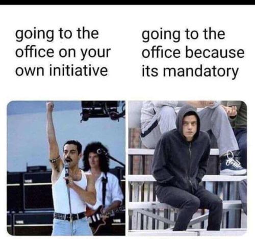 Screenshot_20250227_062639_Gallery