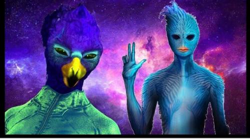 ,      545159_51961123140246