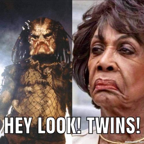 Maxine alien