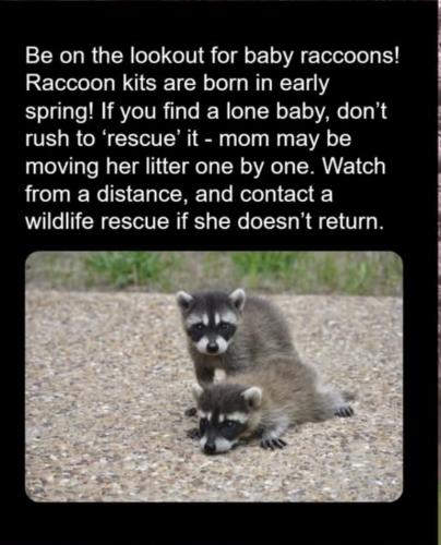 CD6D7197-DAC9-40A3-BA98-8E157D401D86