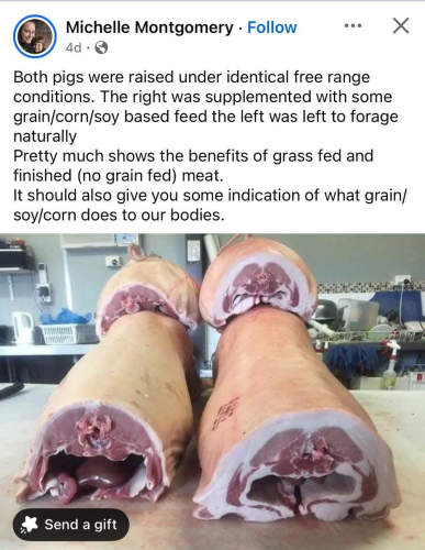 607d9a4a7f901eed4d60b1f428e66919