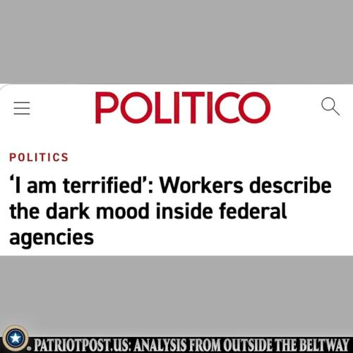 01JKCJX3E8ZYSQE2PG8M81MTFJ